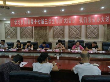 民革岐山县支部开展学习贯彻中共岐山县委十七届三次全会精神我们怎么办大讨论活动